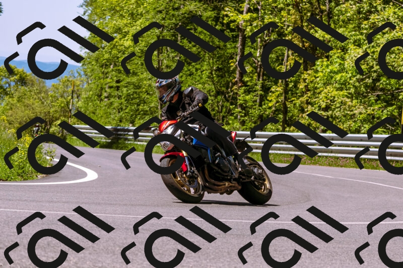 202505251027-_DSC5394_d1_