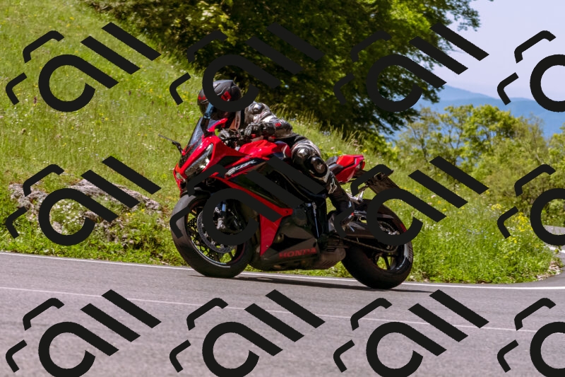 202505251028-_DSC5398_d1_