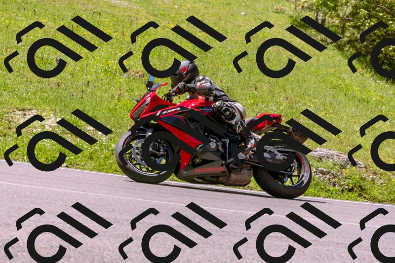 202505251028-_DSC5399_d1_