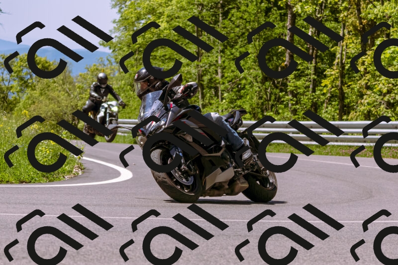 202505251028-_DSC5402_d1_