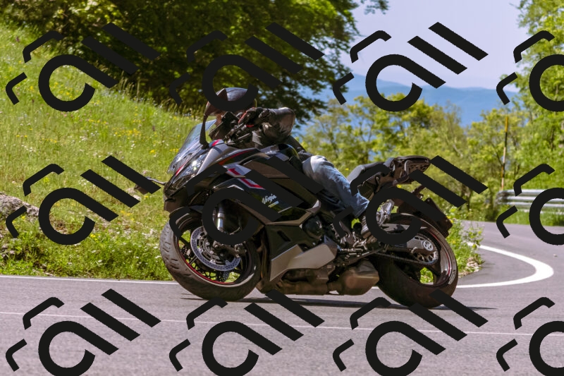 202505251028-_DSC5403_d1_