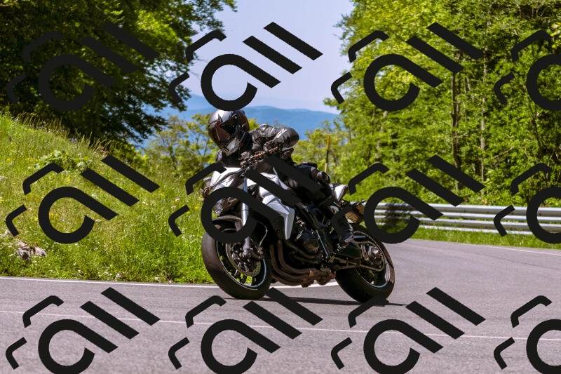 202505251028-_DSC5406_d1_