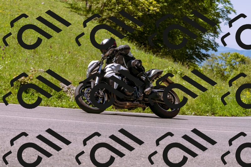 202505251028-_DSC5407_d1_