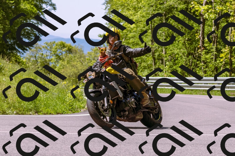 202505251028-_DSC5410_d1_