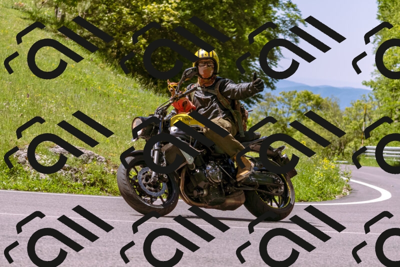 202505251028-_DSC5411_d1_