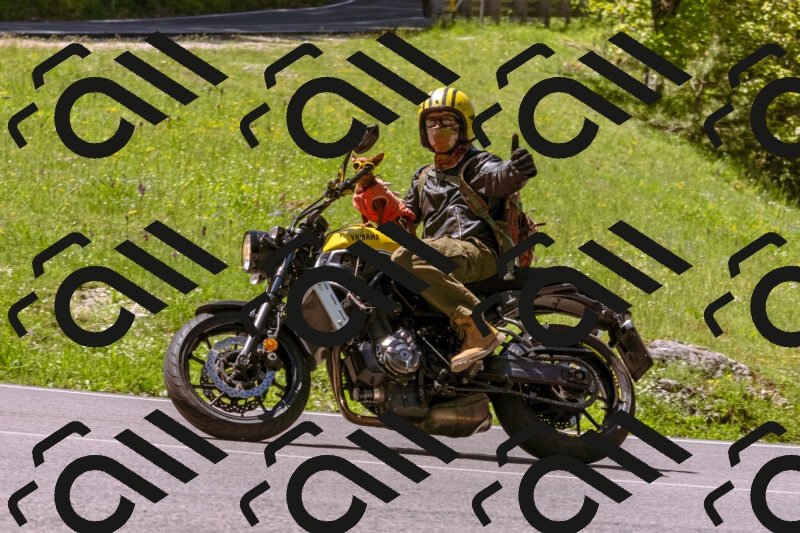 202505251028-_DSC5412_d1_