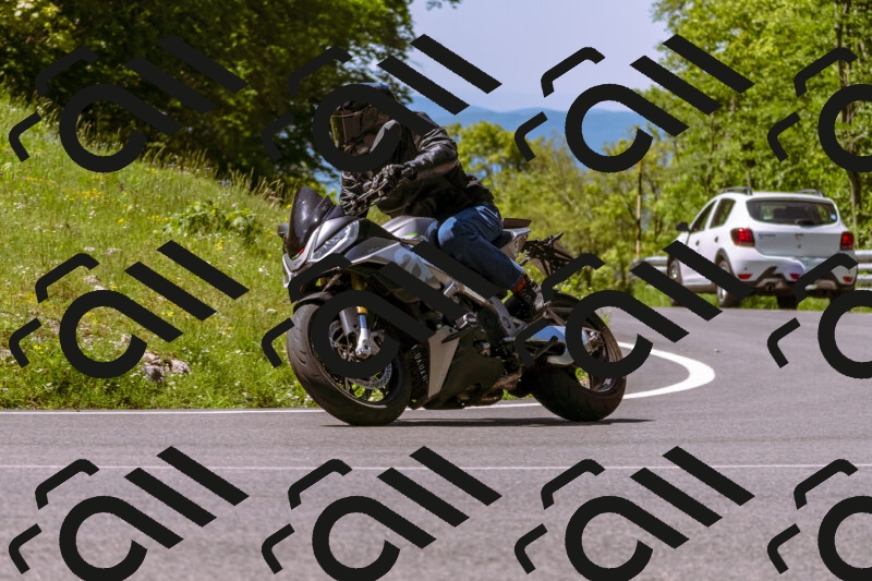 202505251030-_DSC5417_d1_