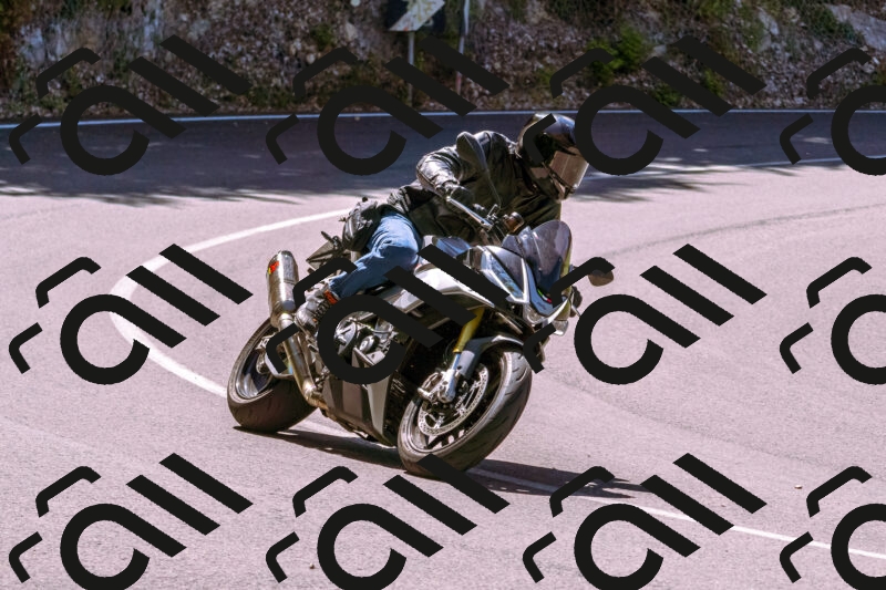 202505251033-_DSC5436_d1_