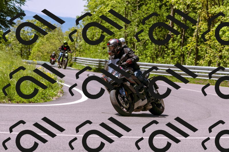 202505251034-_DSC5444_d1_