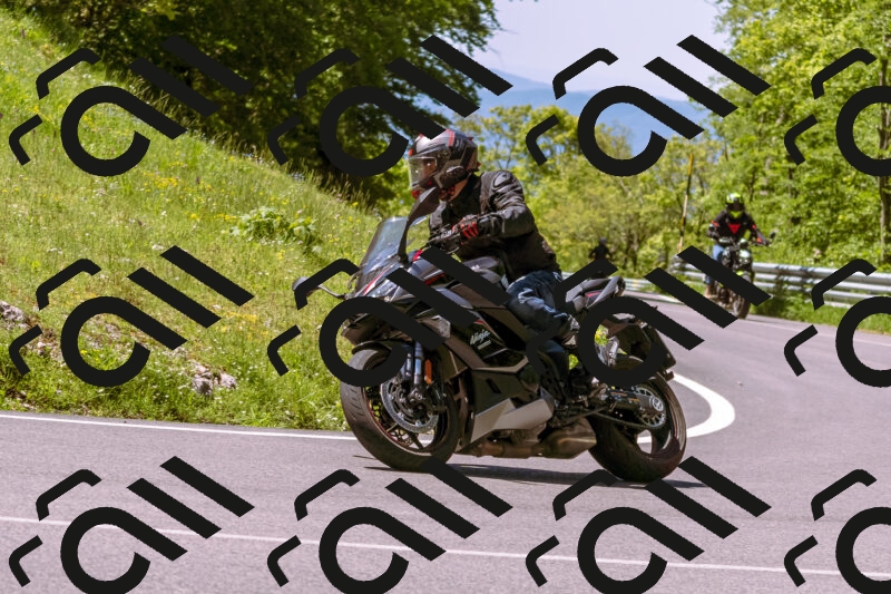 202505251034-_DSC5445_d1_