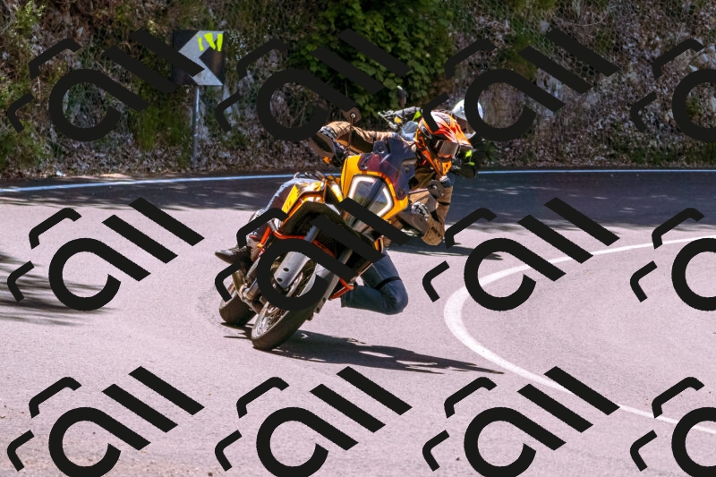 202505251035-_DSC5457_d1_