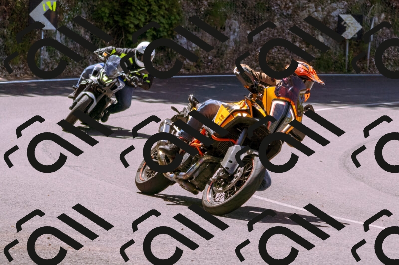 202505251035-_DSC5458_d1_