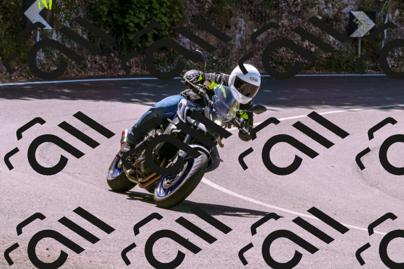 202505251036-_DSC5459_d1_