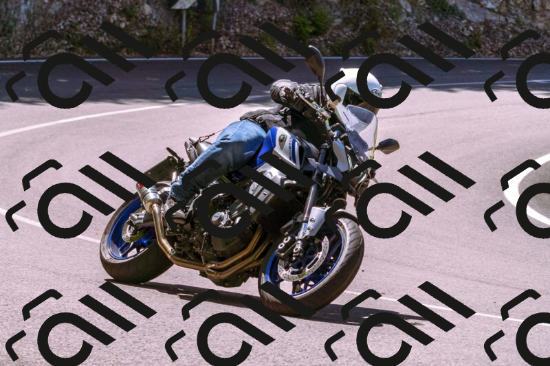 202505251036-_DSC5460_d1_