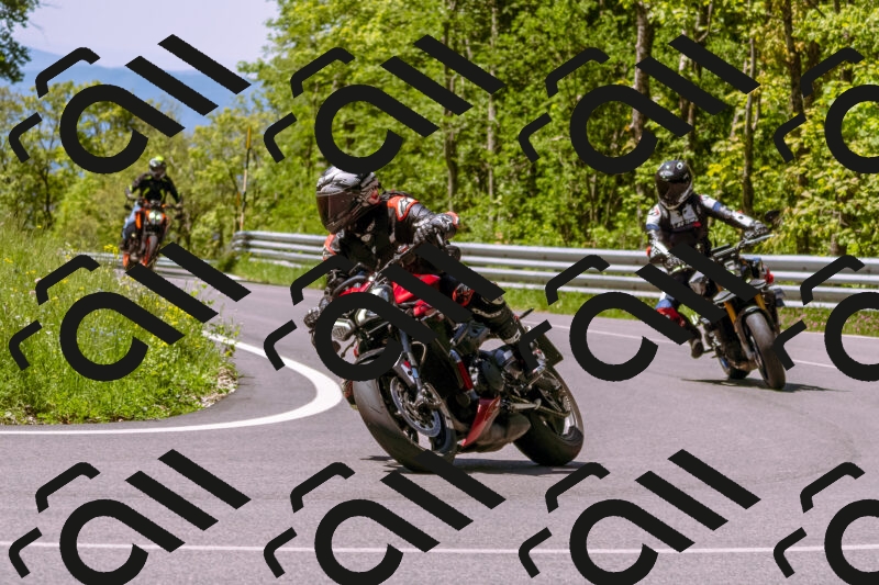 202505251036-_DSC5462_d1_