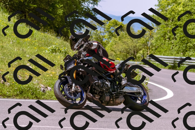 202505251036-_DSC5465_d1_