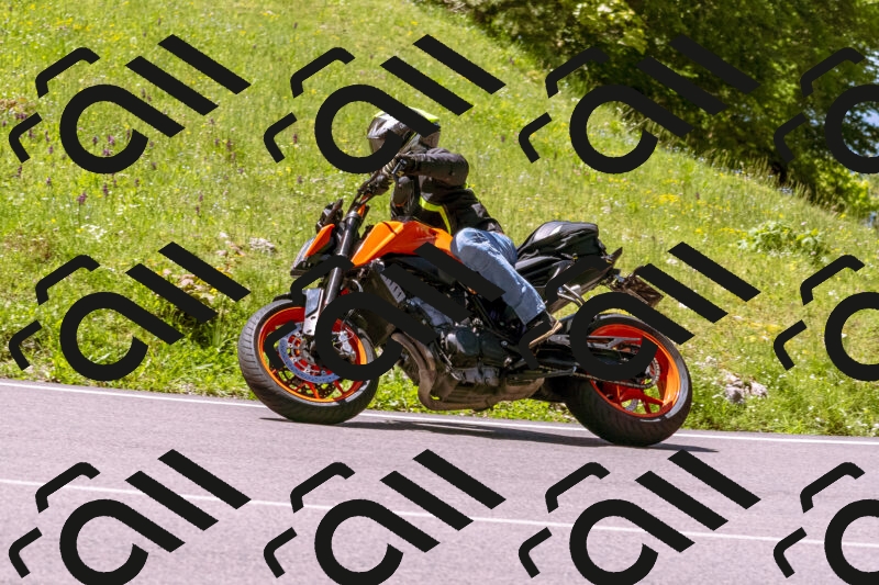 202505251036-_DSC5469_d1_