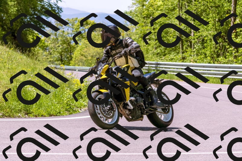 202505251037-_DSC5483_d1_