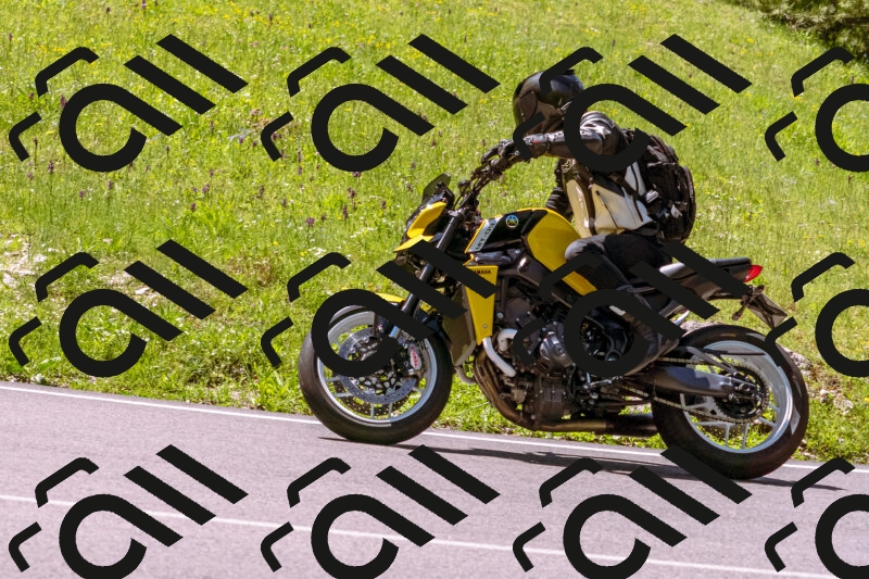 202505251037-_DSC5485_d1_