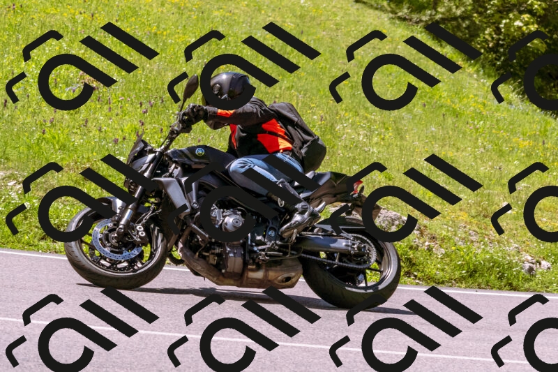 202505251037-_DSC5486_d1_