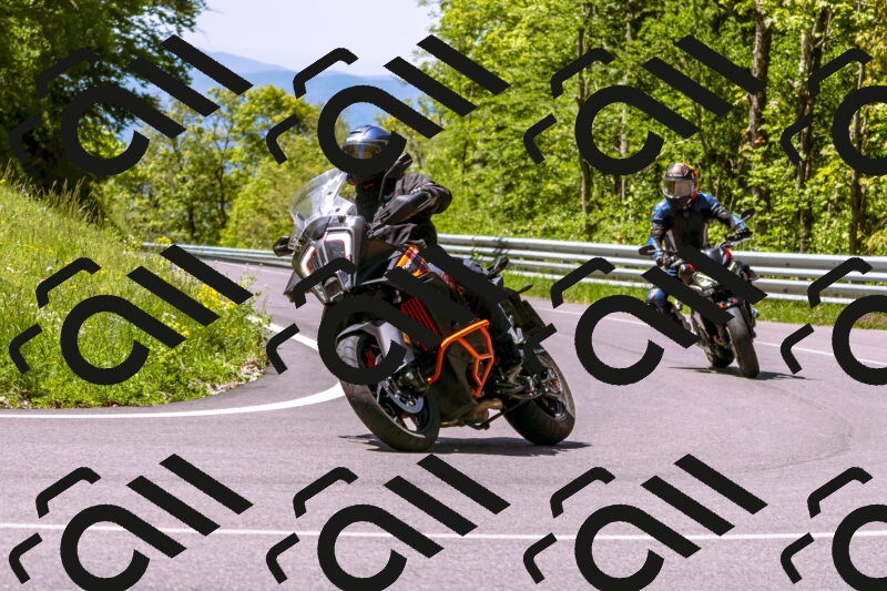 202505251038-_DSC5489_d1_