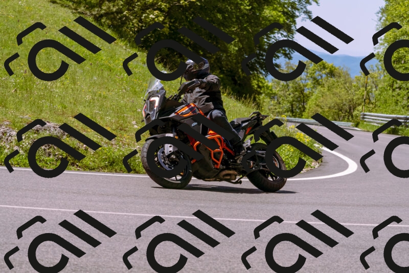 202505251038-_DSC5490_d1_