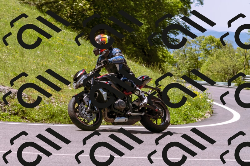 202505251038-_DSC5493_d1_