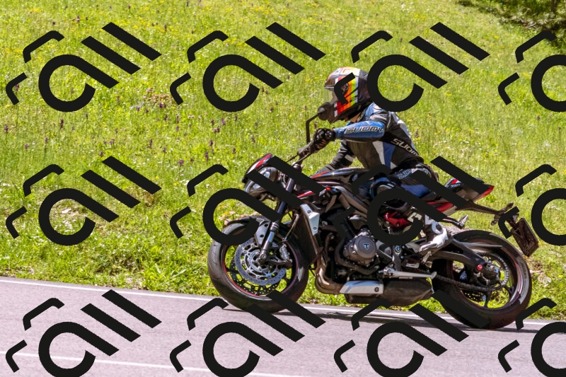 202505251038-_DSC5494_d1_