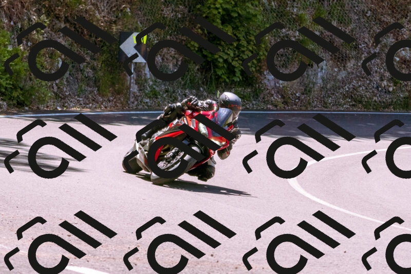 202505251039-_DSC5495_d1_