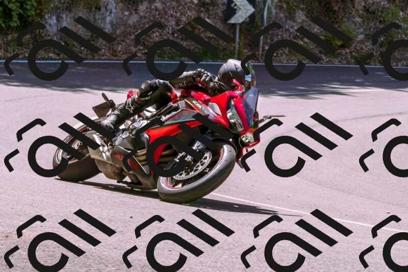 202505251039-_DSC5496_d1_