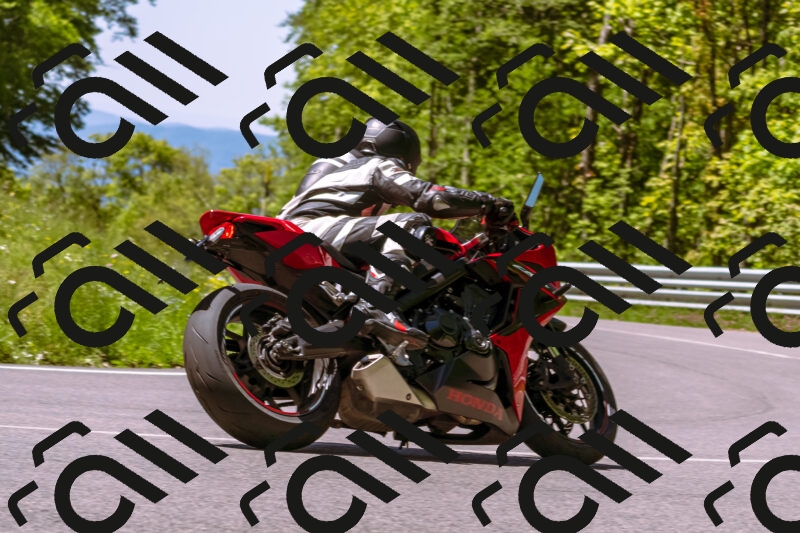 202505251039-_DSC5499_d1_