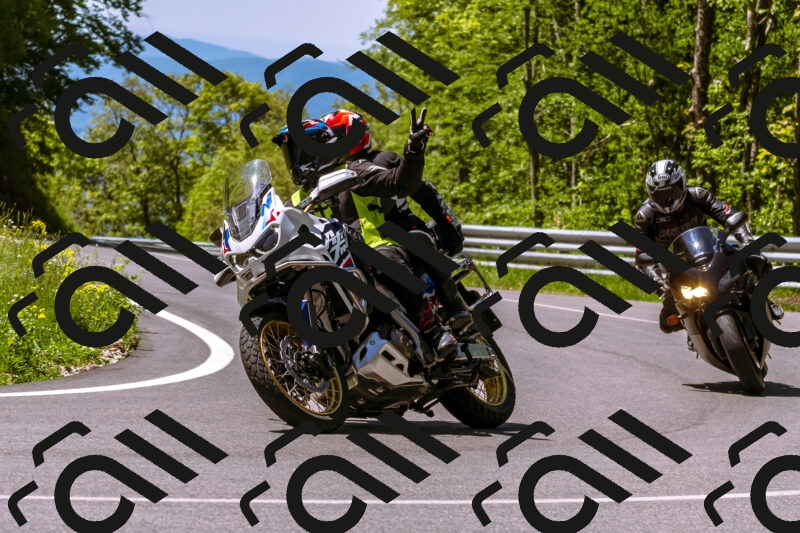 202505251041-_DSC5511_d1_