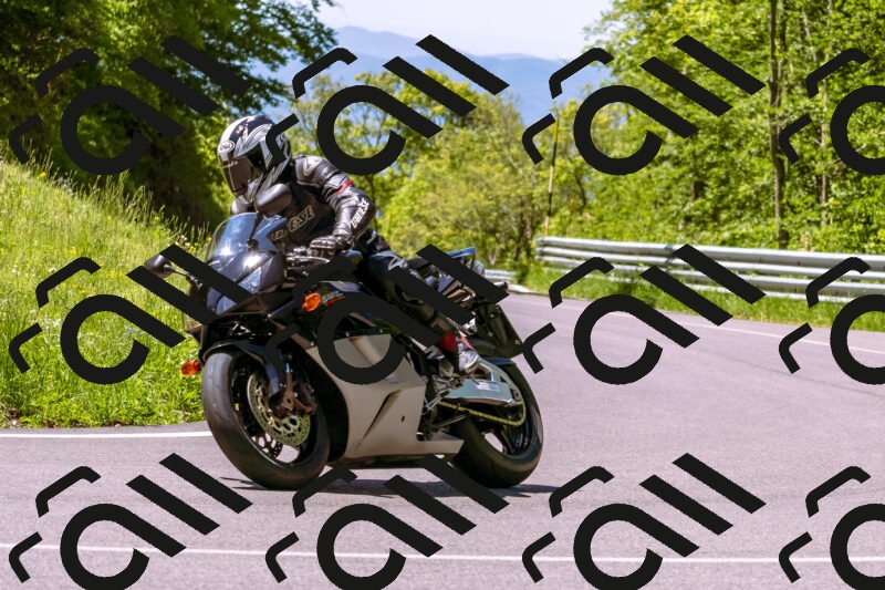 202505251041-_DSC5513_d1_