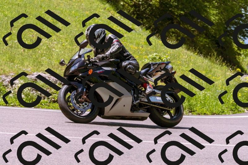 202505251041-_DSC5514_d1_