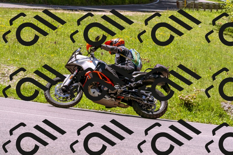 202505251049-_DSC5524_d1_