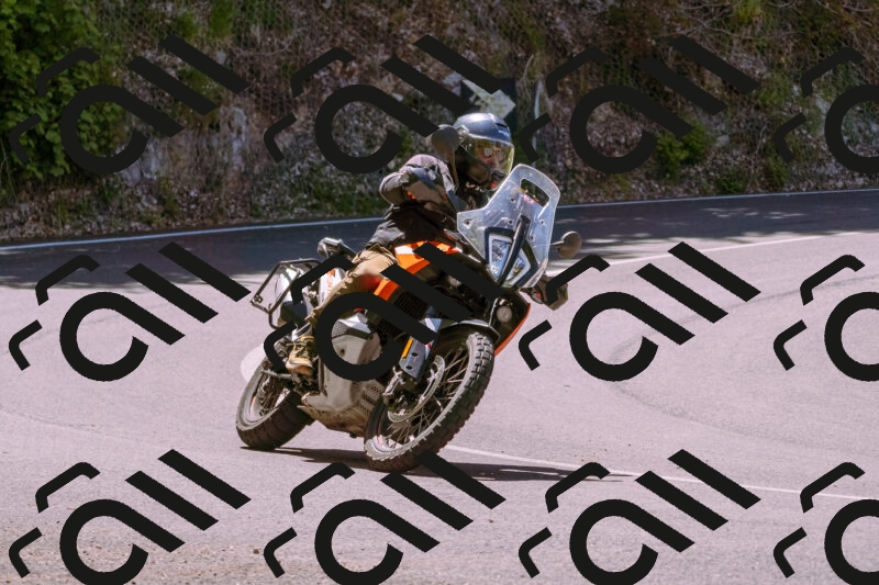 202505251051-_DSC5525_d1_