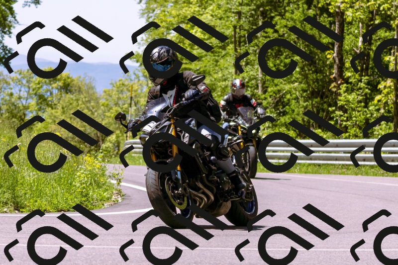 202505251054-_DSC5530_d1_