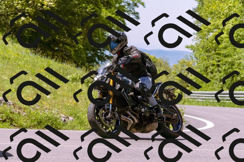 202505251054-_DSC5531_d1_