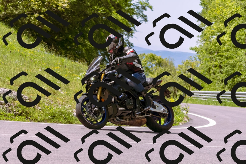 202505251054-_DSC5532_d1_