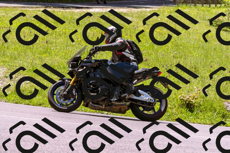 202505251054-_DSC5534_d1_