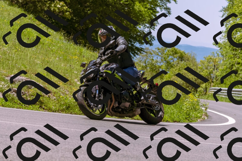 202505251055-_DSC5539_d1_