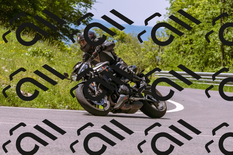 202505251056-_DSC5541_d1_