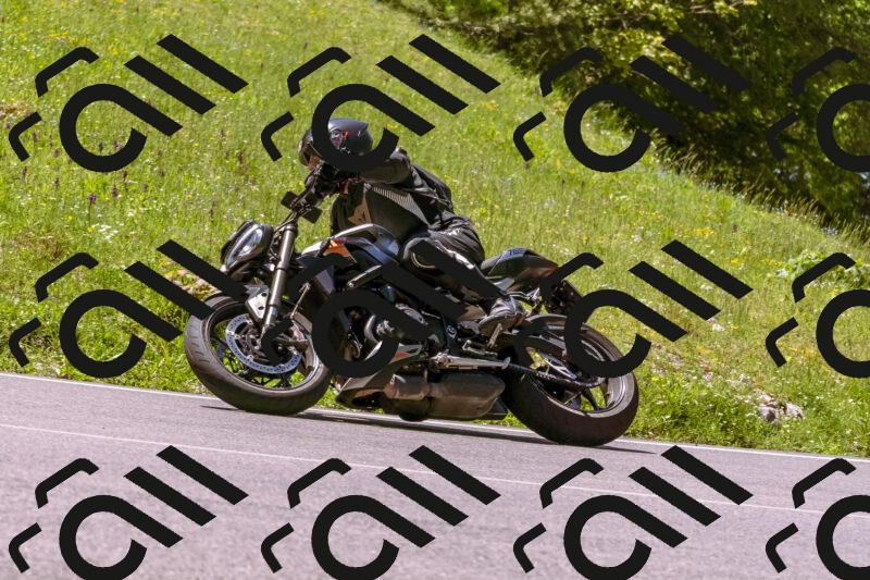 202505251056-_DSC5542_d1_