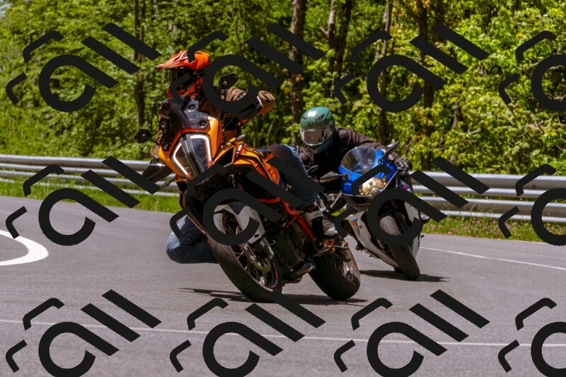 202505251056-_DSC5544_d1_