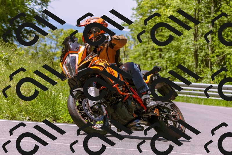 202505251056-_DSC5545_d1_