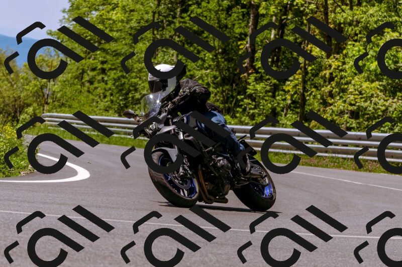 202505251057-_DSC5551_d1_