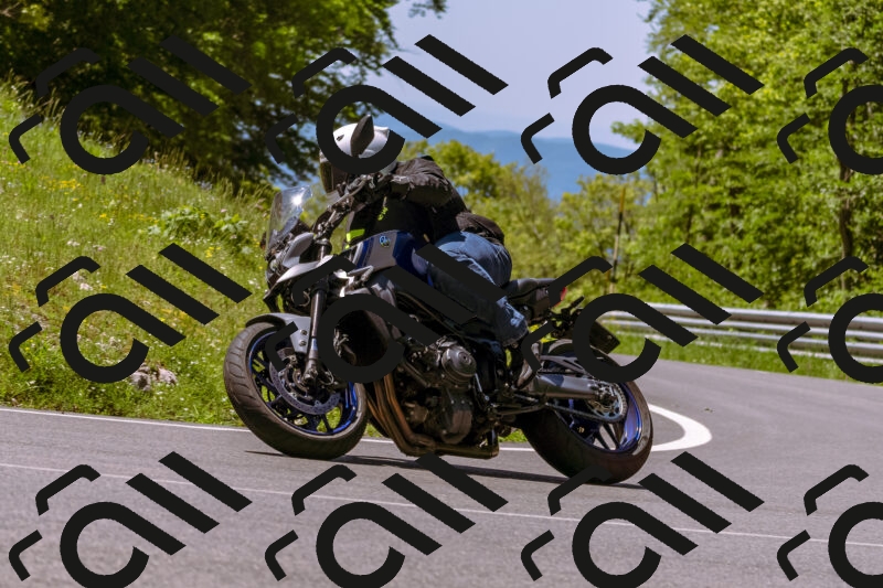 202505251057-_DSC5552_d1_