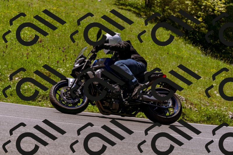 202505251057-_DSC5553_d1_