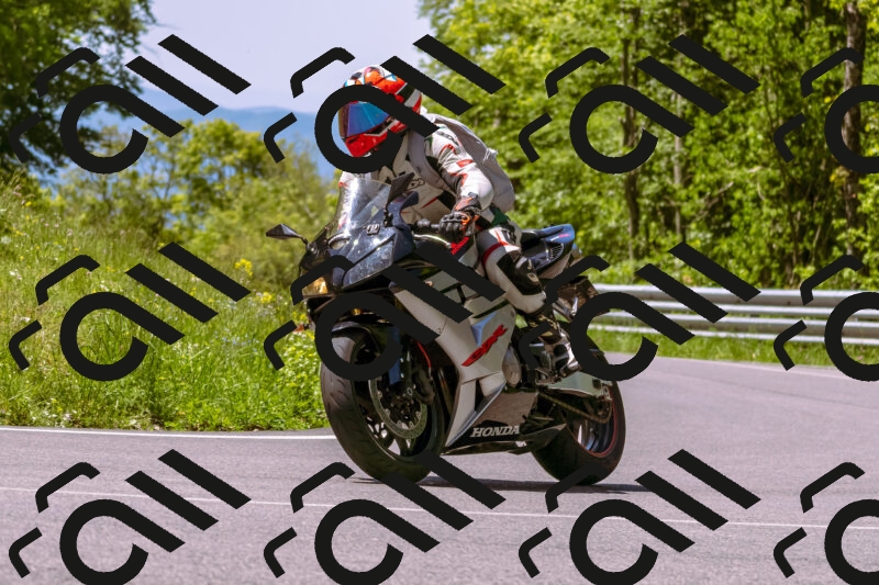 202505251057-_DSC5559_d1_