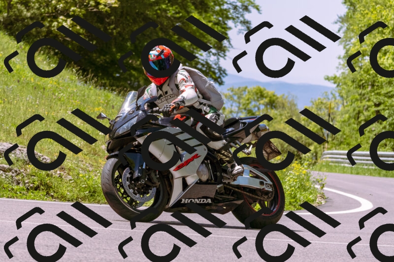 202505251057-_DSC5560_d1_